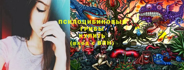 ГАЛЛЮЦИНОГЕННЫЕ ГРИБЫ Алексин
