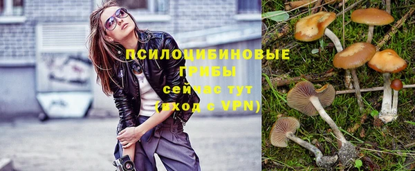 круглые Алзамай
