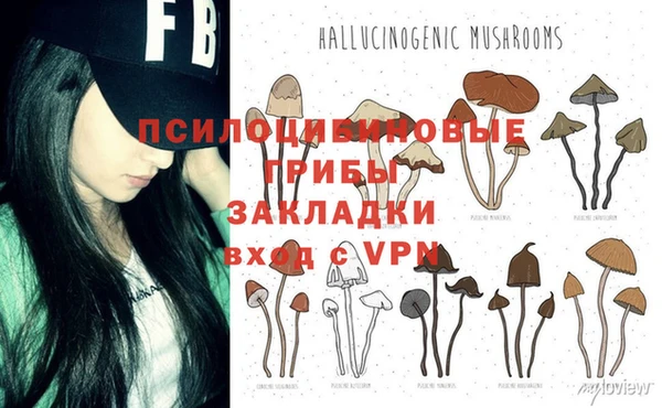 ГАЛЛЮЦИНОГЕННЫЕ ГРИБЫ Алексин