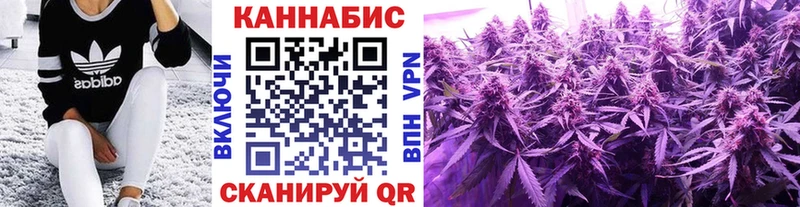 Каннабис семена  Купить закладки  Сегежа 